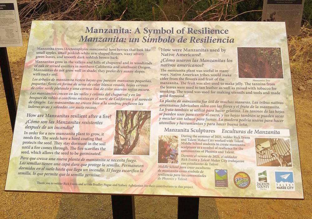 Manzanita: A Symbol of Resilience
