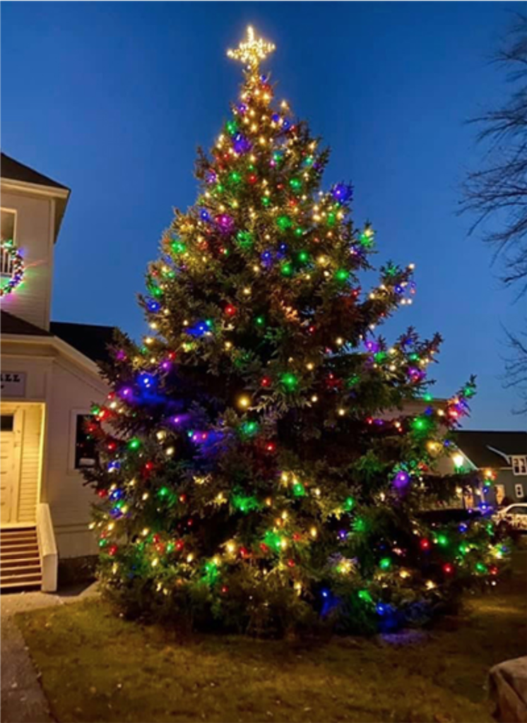 Lights for Life holiday tree